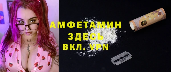 соль ск Богородицк