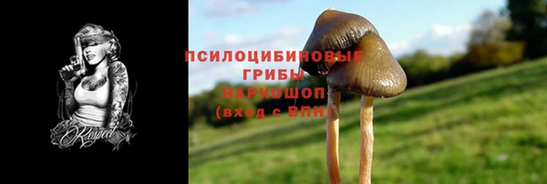 прущий лед Бронницы