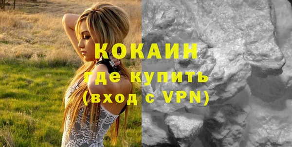 бошки Богданович