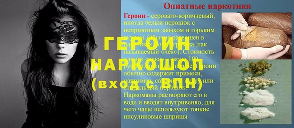 сатива Беломорск