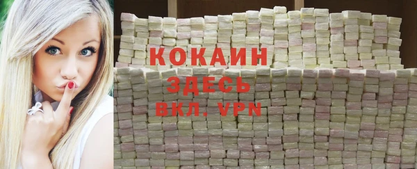 соль ск Богородицк