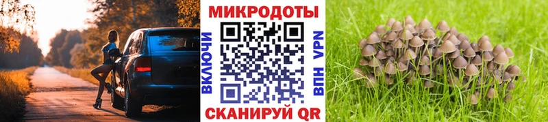 Псилоцибиновые грибы Cubensis Воркута