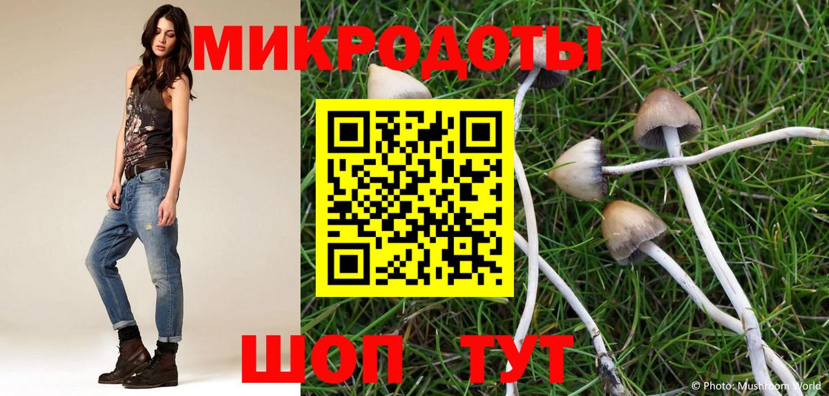 Галлюциногенные грибы GOLDEN TEACHER Воркута